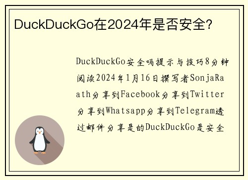 DuckDuckGo在2024年是否安全？ 